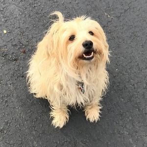 Meet your Posher, Boyd